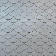 Masonry fish scales Samaca